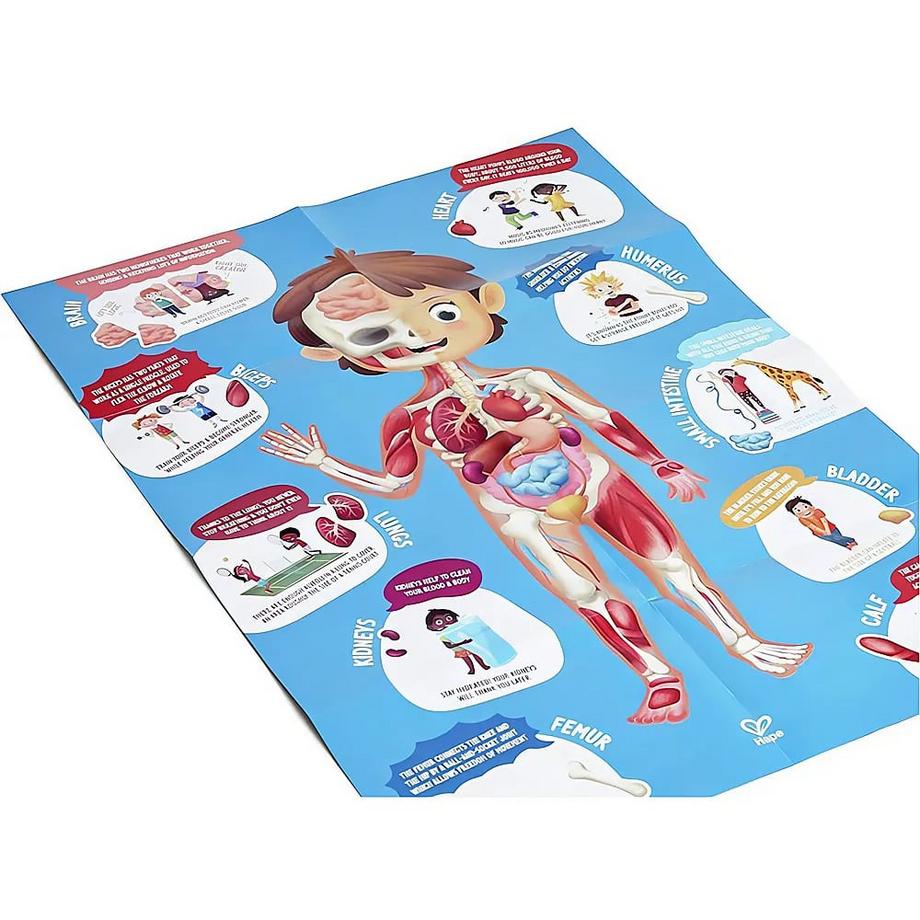 Hape  Puzzle Mein Körper (60Teile) 