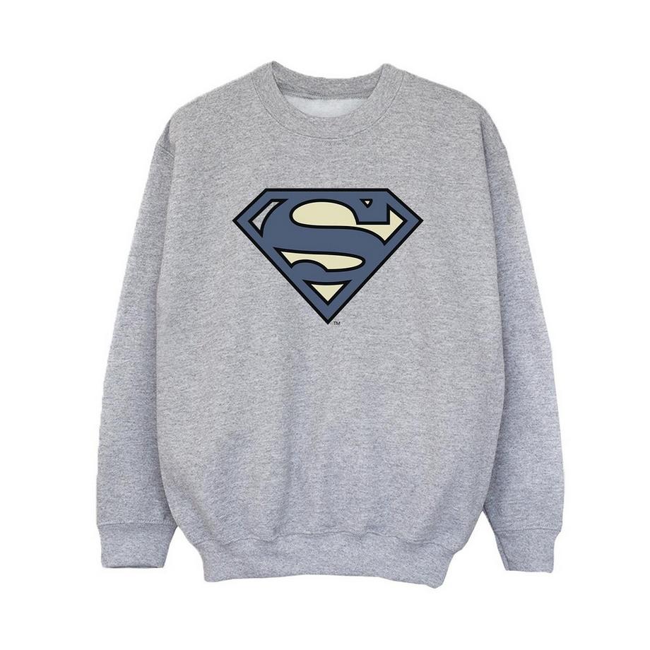 DC COMICS  Sweatshirt 