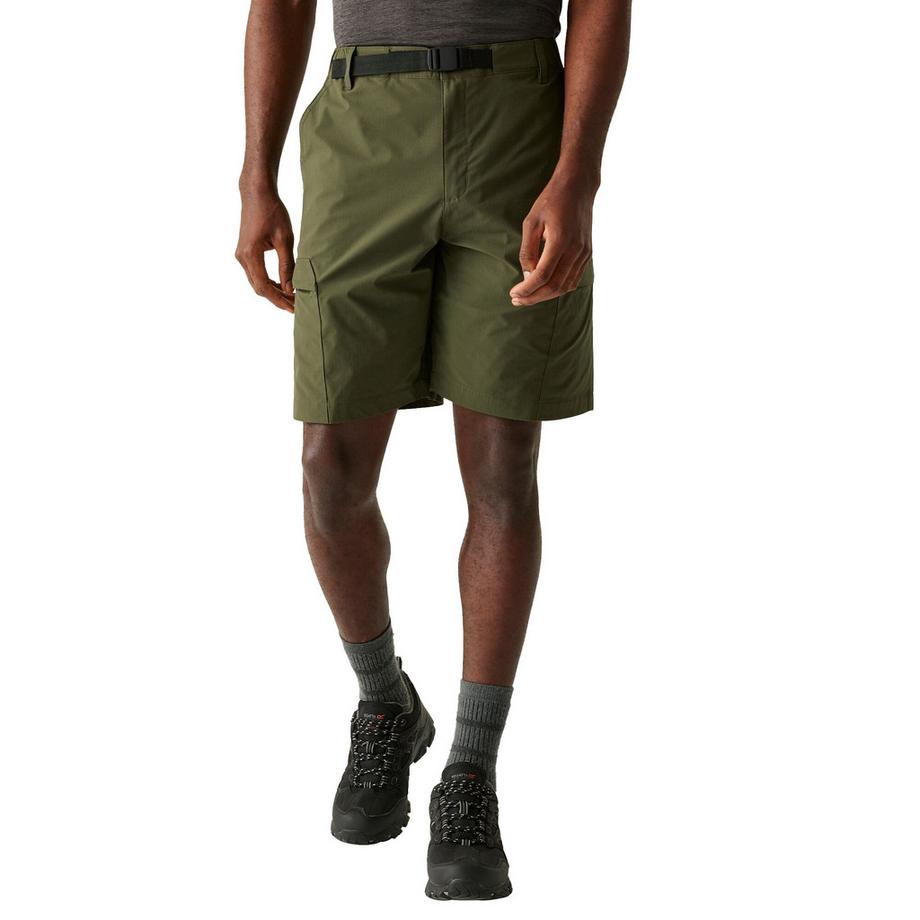 Regatta Short Mallen  