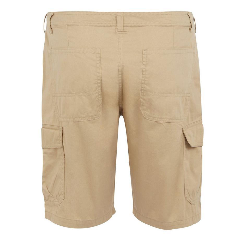 Regatta Ruwan Pantaloncini casual  
