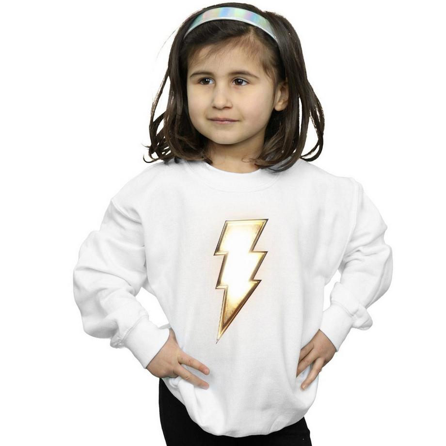 DC COMICS  Sweatshirt 