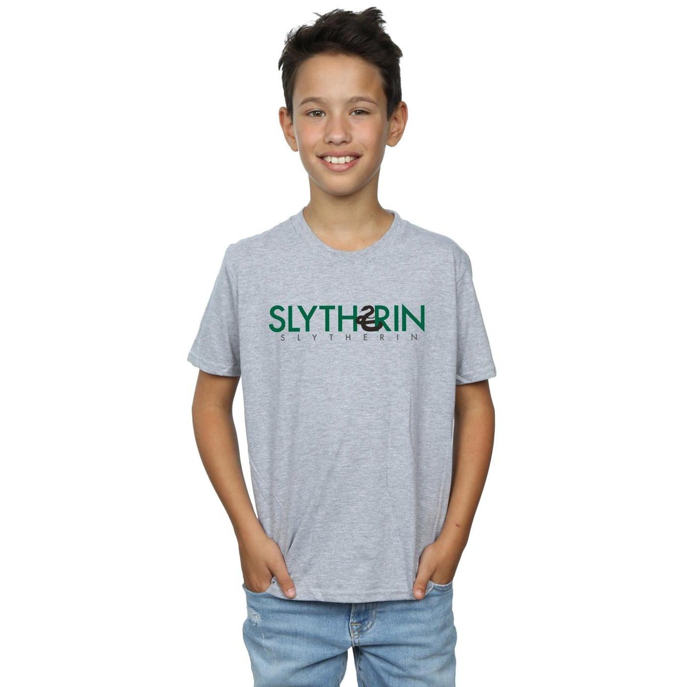 Harry Potter  Slytherin TShirt 