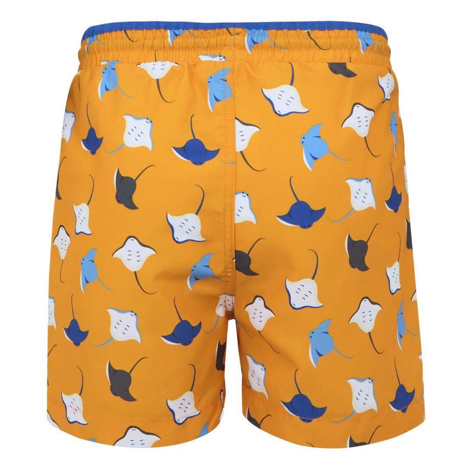 Regatta  Short De Bain Skander 