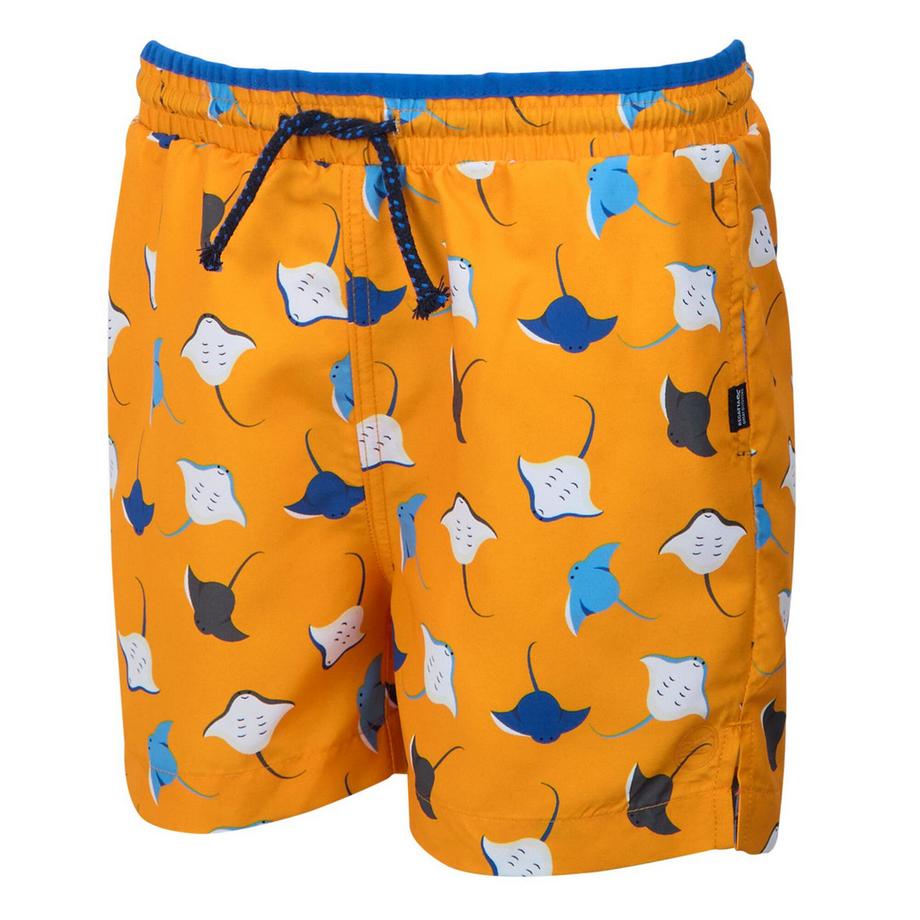 Regatta  Short De Bain Skander 