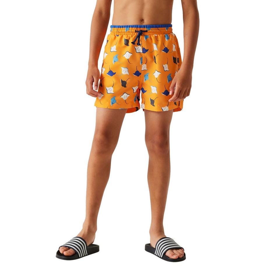 Regatta  Short De Bain Skander 