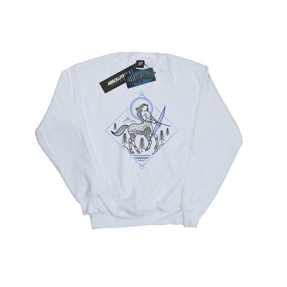 Harry Potter  Sweatshirt 