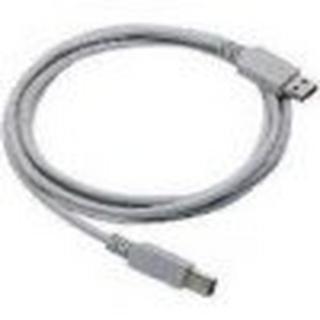 DATALOGIC  Straight Cable - Type A USB câble USB 2 m 