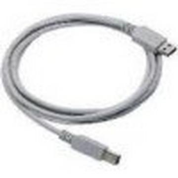Straight Cable - Type A USB câble USB 2 m