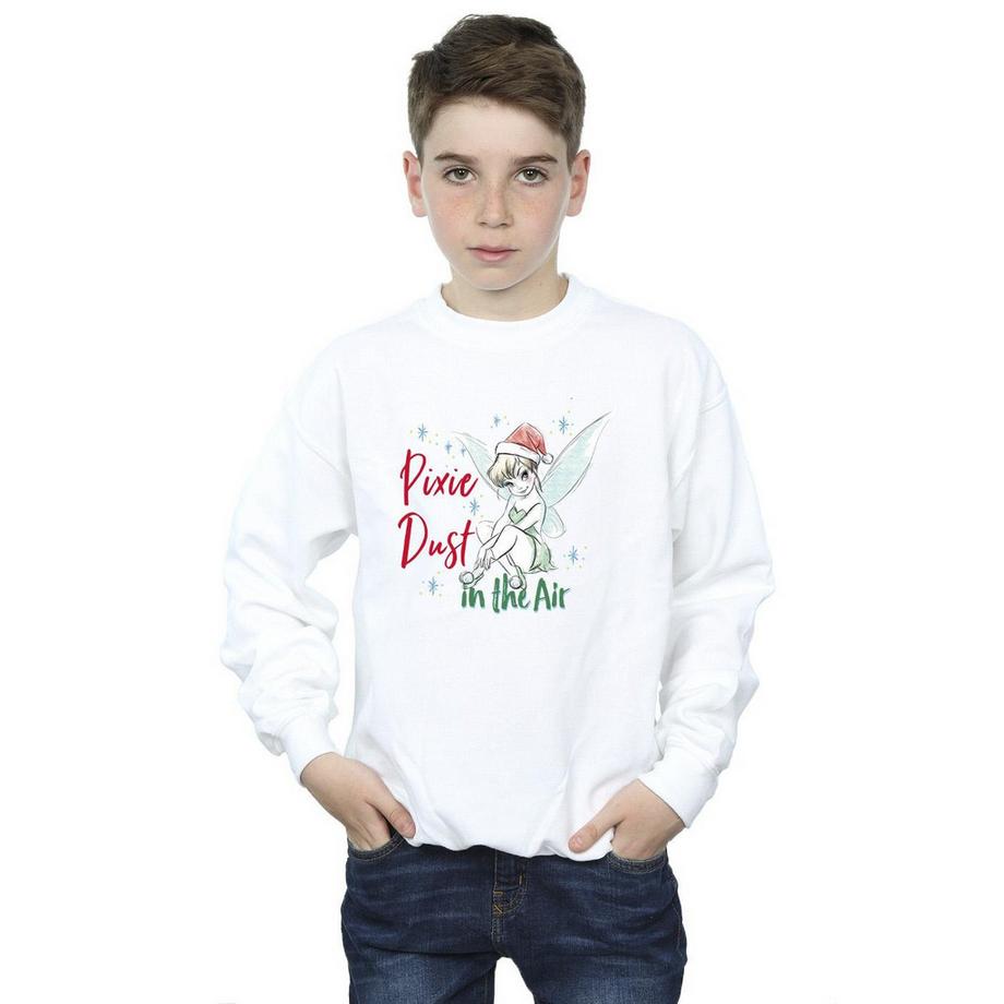 Disney  Pixie Dust Sweatshirt 