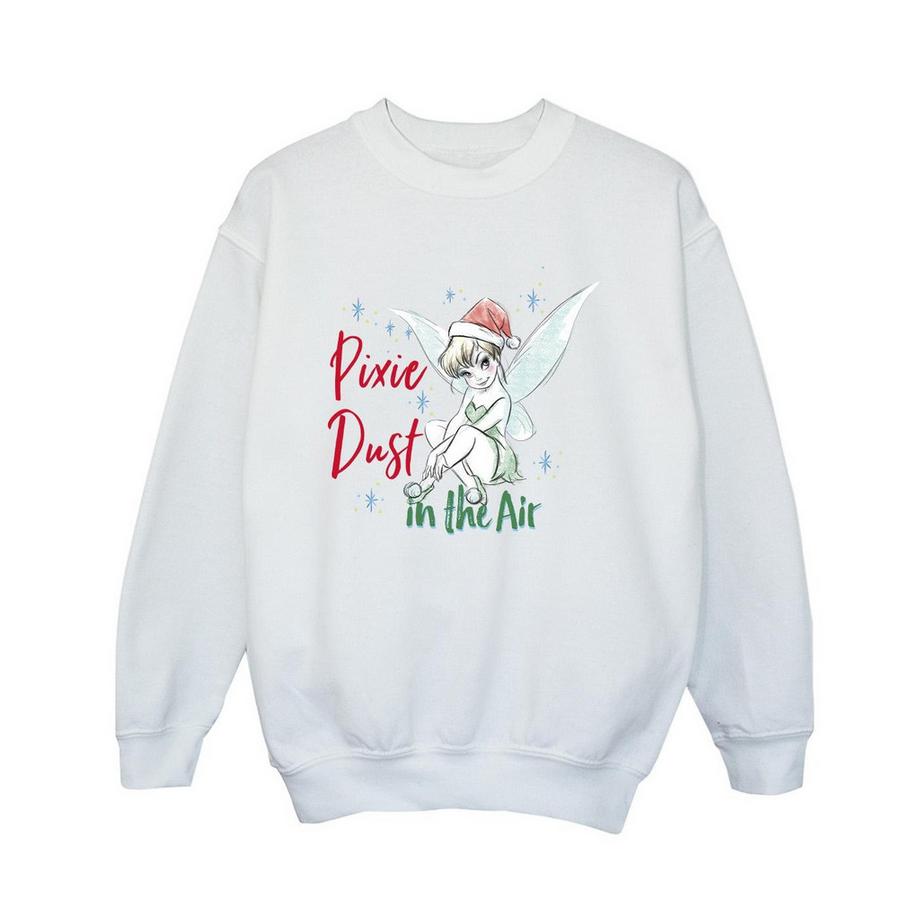Pixie Dust Sweatshirt