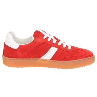 Sioux  Sneaker Tedroso-DA-707 