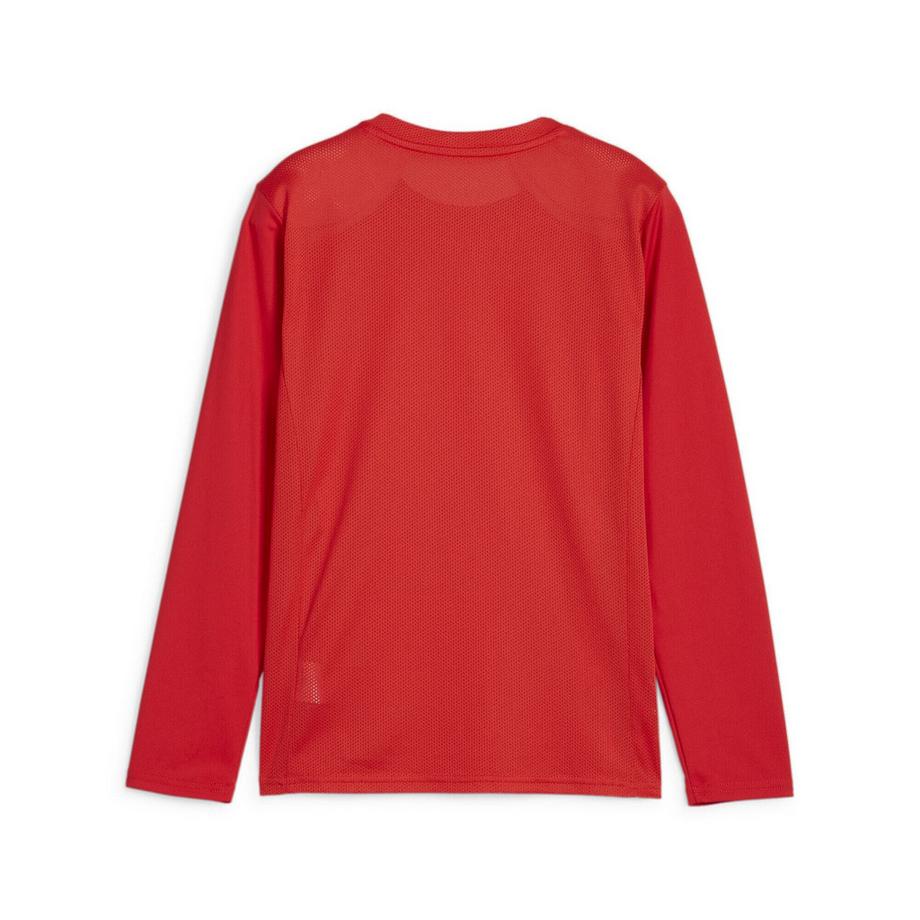 PUMA  langarmtrikot für kinder teamgoal 