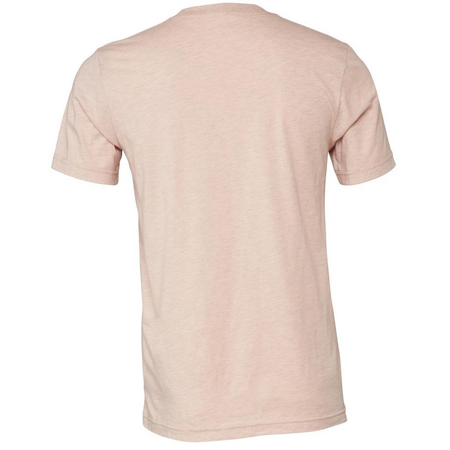Bella + Canvas T-Shirt CVC Adulti  