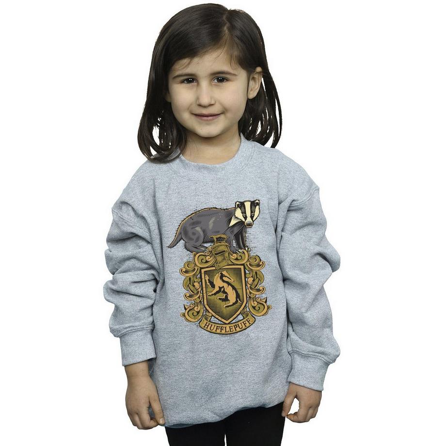 HARRY-POTTER  Hufflepuff Sweatshirt 