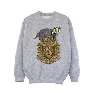 Harry Potter  Hufflepuff Sweatshirt 