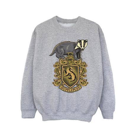 Harry Potter  Hufflepuff Sweatshirt 