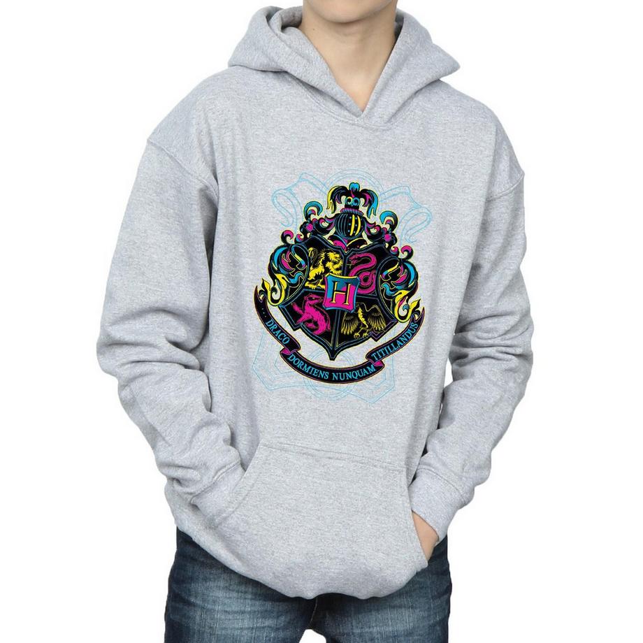 Harry Potter  Sweat à capuche HOGWARTS 