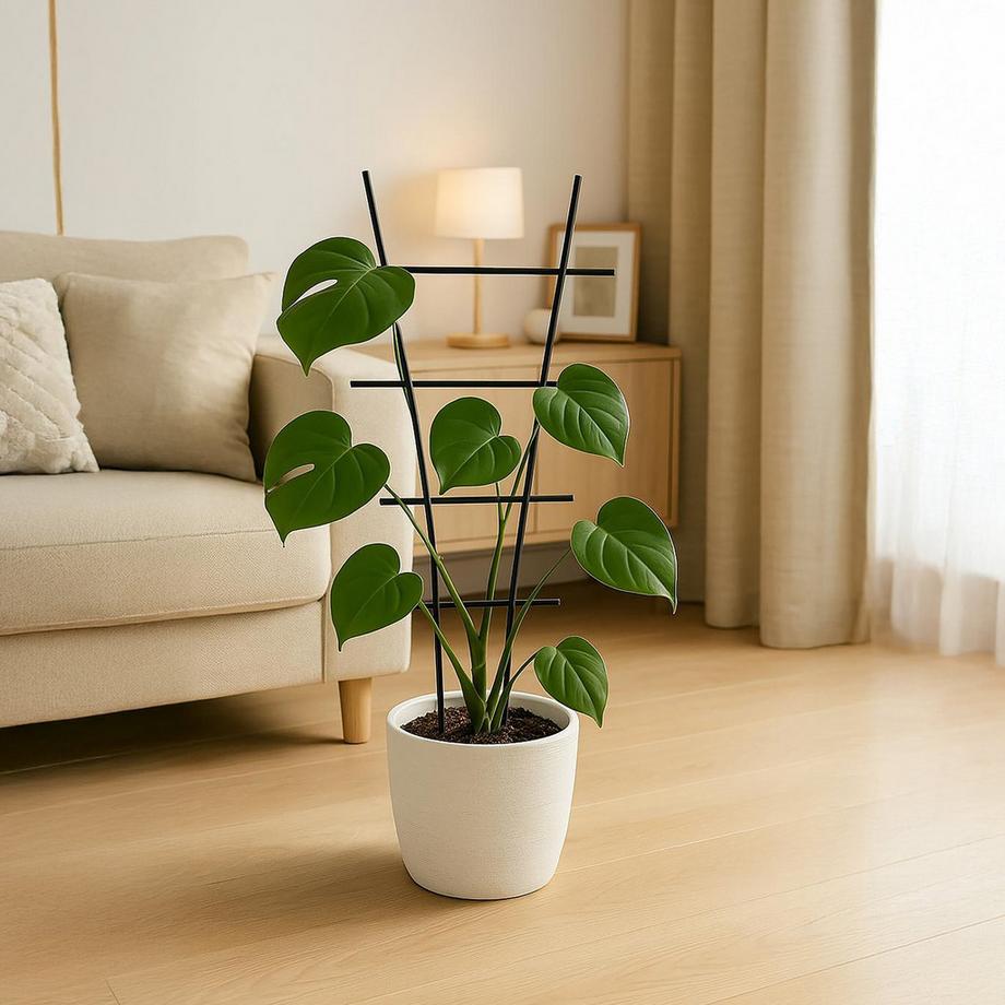 Northix Pflanzenstützen-Set aus Metall  