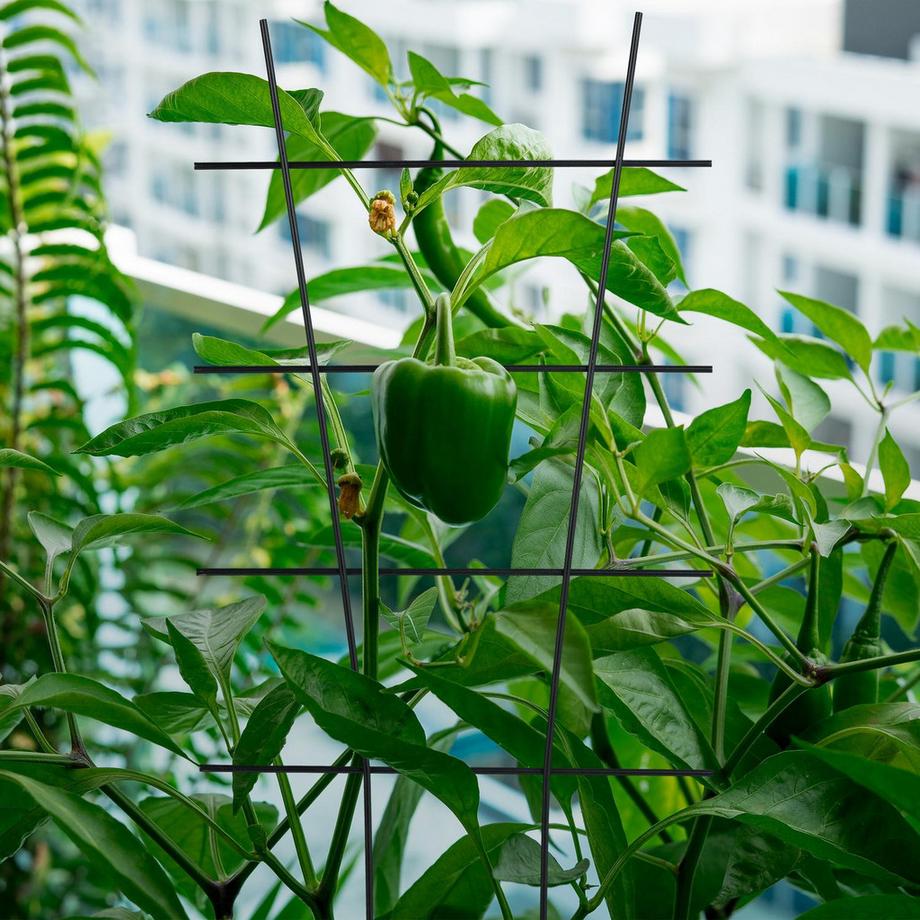 Northix Pflanzenstützen-Set aus Metall  