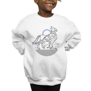 Harry Potter  Sweatshirt 