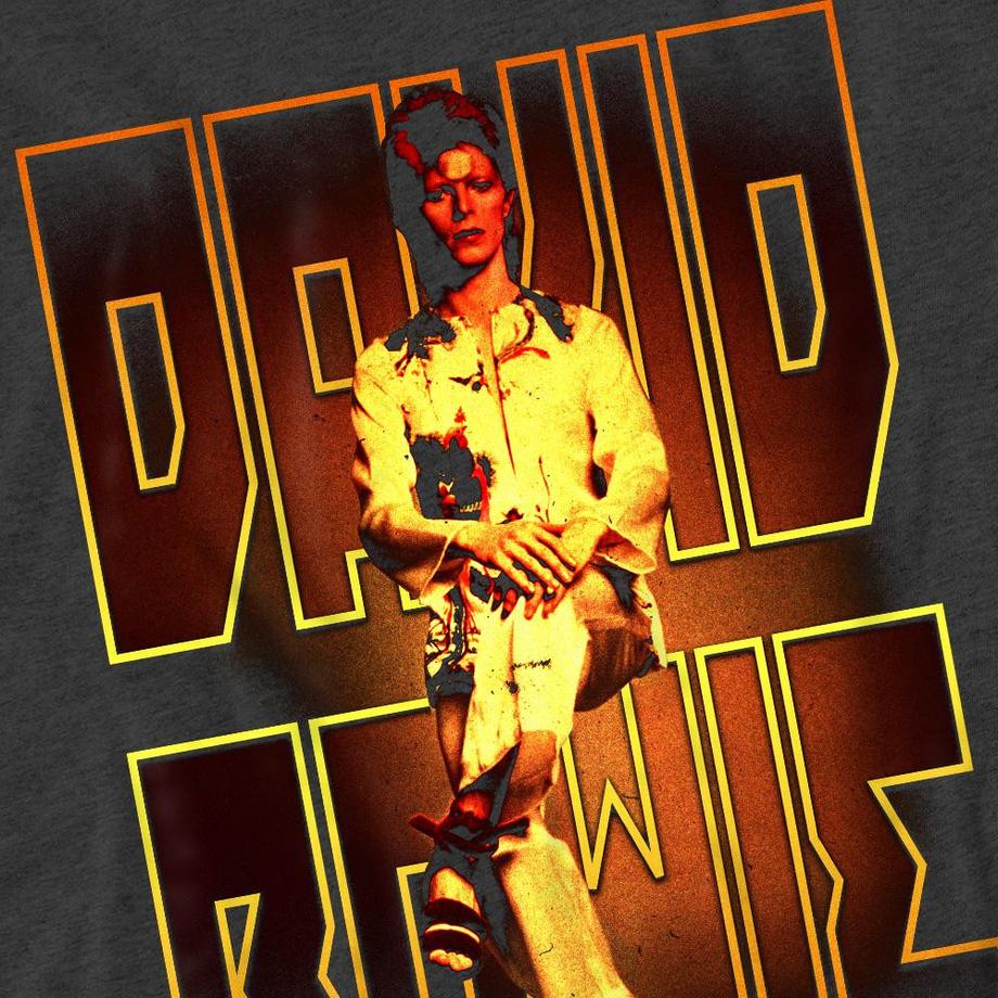 David Bowie T-Shirt Perched  