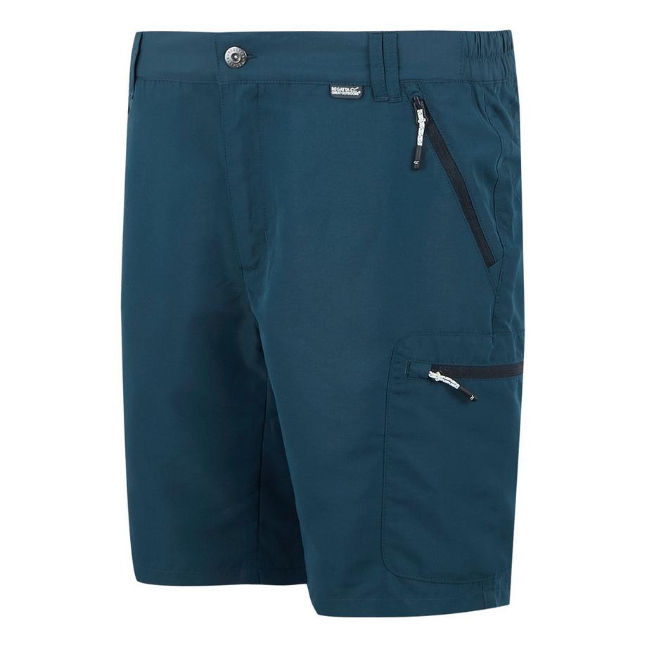 Regatta Leesville III Shorts  