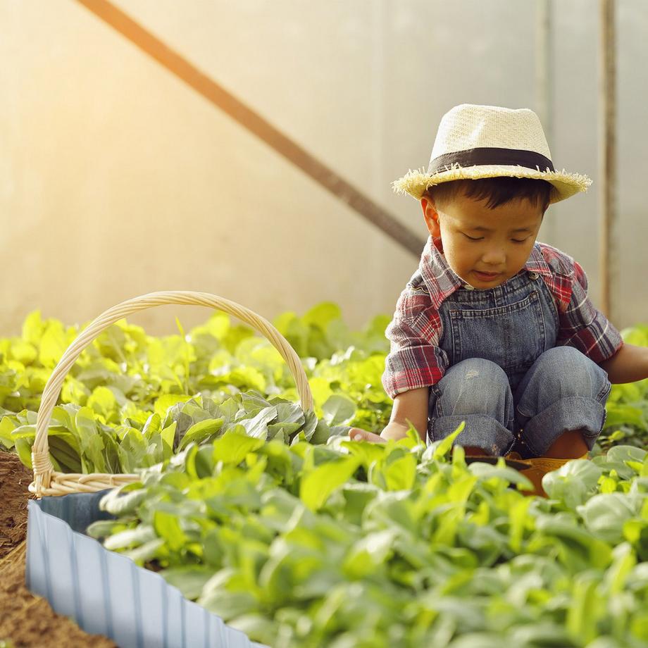 B2X  Metall Rasenkante 8 m 