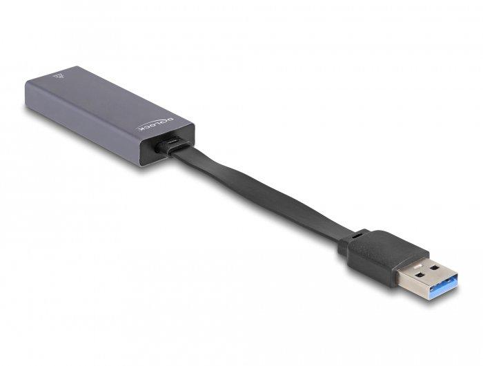 DeLock  DeLOCK 66247 adattatore per inversione del genere dei cavi RJ-45 USB A Grigio 