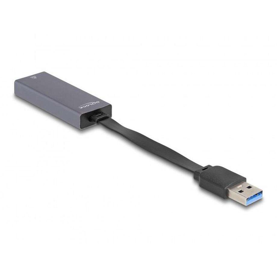 DeLock  DeLOCK 66247 Kabeladapter RJ-45 USB A Grau 