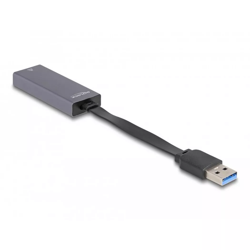DeLock - DeLOCK 66247 changeur de genre de câble RJ-45 USB A Gris