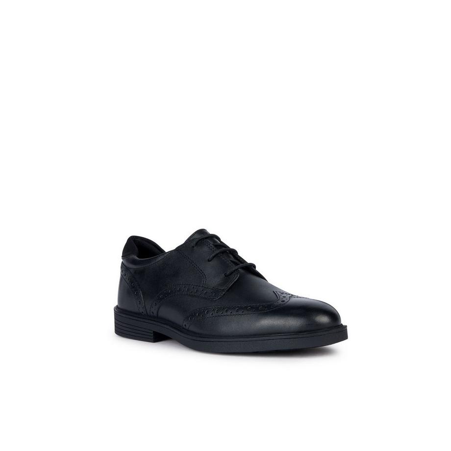 GEOX Zheeno Chaussures Derby Richelieu  