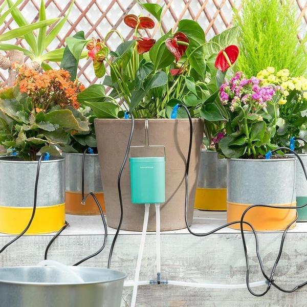 Kit D'irrigation Goutte à Goutte 36 Mètres - Avec 12 Buses Tourbillonnantes, Adaptateurs Robinet - Pour Jardin, Pelouse, Serre, économie D'eau