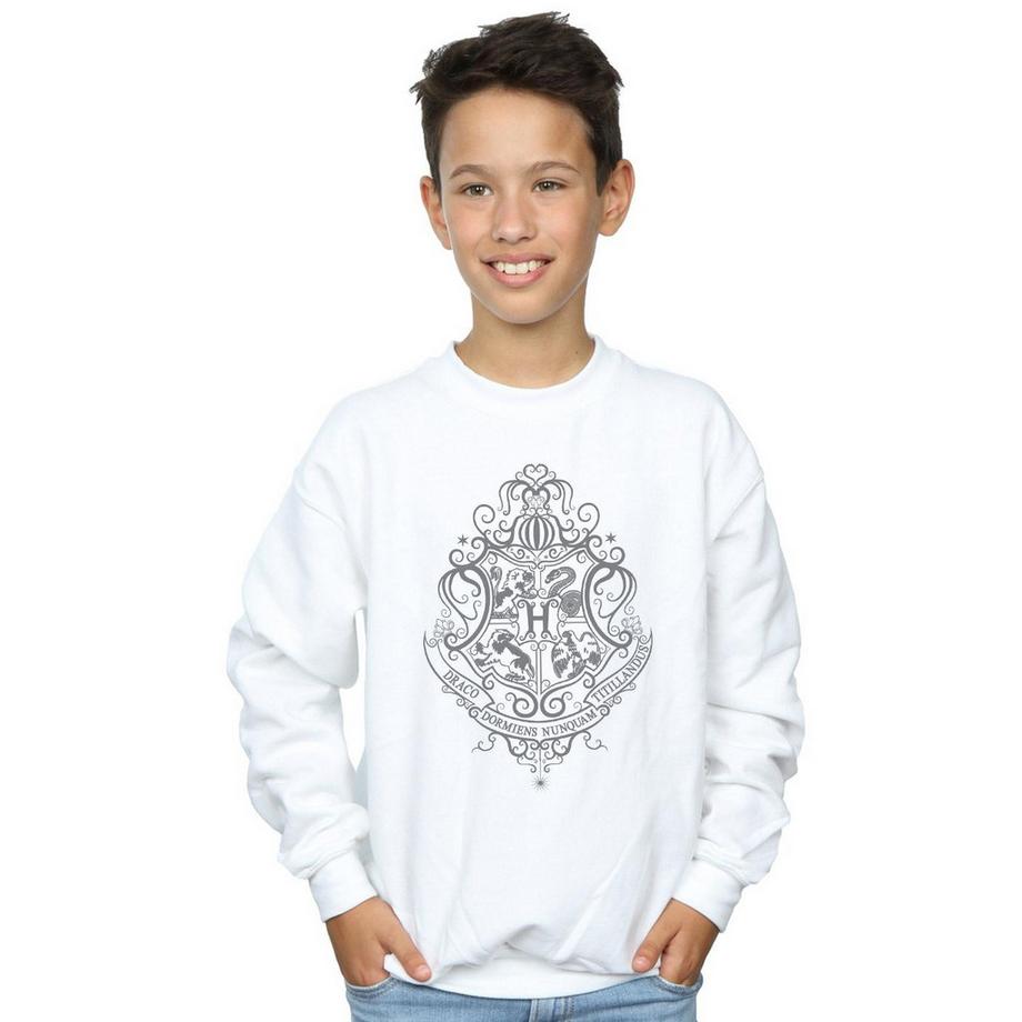 HARRY-POTTER  Sweat HOGWARTS DRACO DORMIENS 