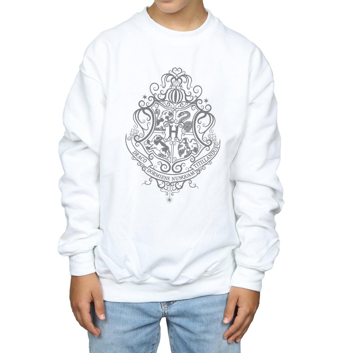 Harry Potter  Hogwarts Draco Dormiens Sweatshirt 