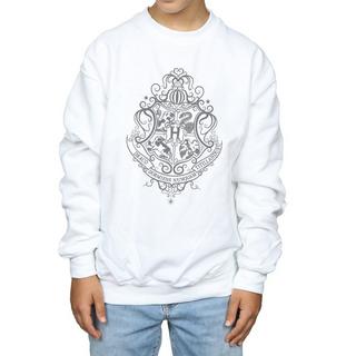 Harry Potter  Hogwarts Draco Dormiens Sweatshirt 