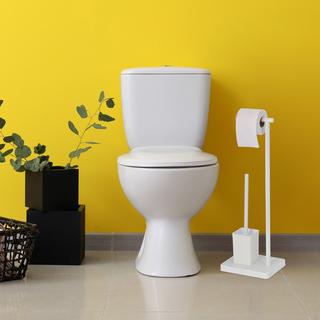 B2X WC-Garnitur mit 2 Ersatzbürstenköpfen  