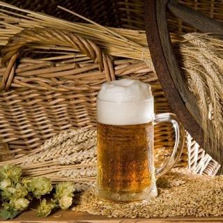 Geschenkidee  Tages Bierbraukurs in St. Gallen - 7 Stunden 