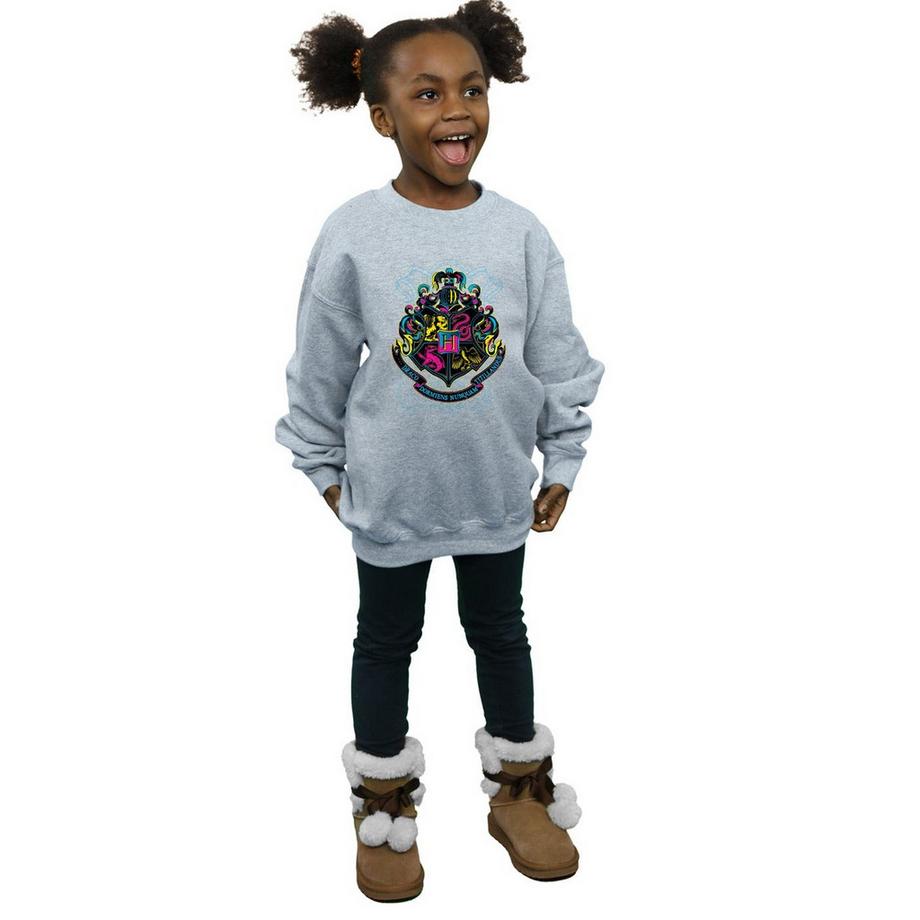 Harry Potter  Hogwarts Sweatshirt 