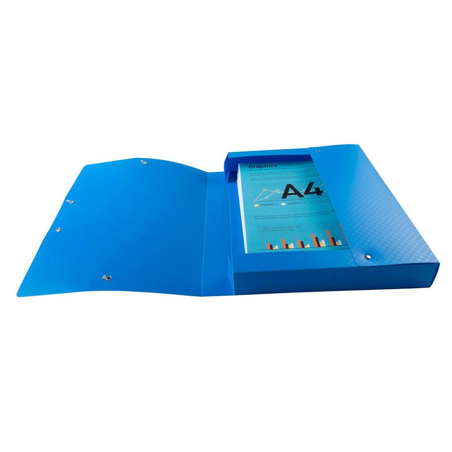 Exacompta Boite de classement polypropylène Forever Young dos 40mm - A4 - x 8  