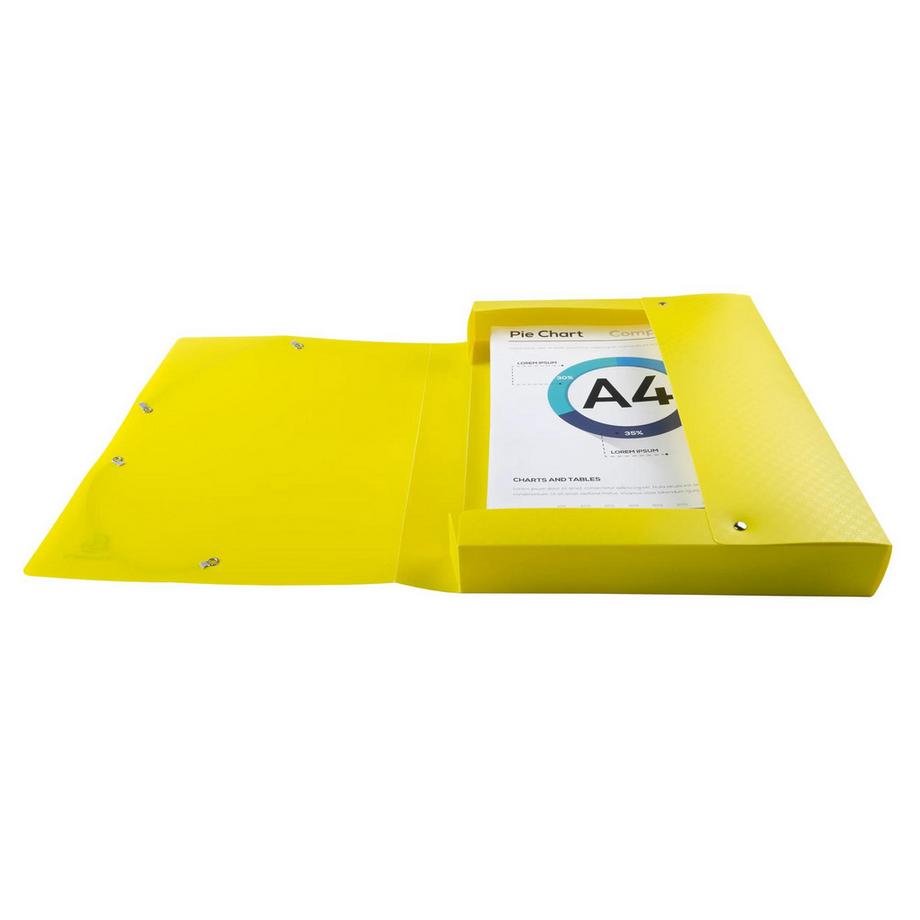 Exacompta Boite de classement polypropylène Forever Young dos 40mm - A4 - x 8  