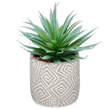 Topfpflanze mitem Topf