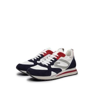 Alberto Guardiani  Sneakers WEN 