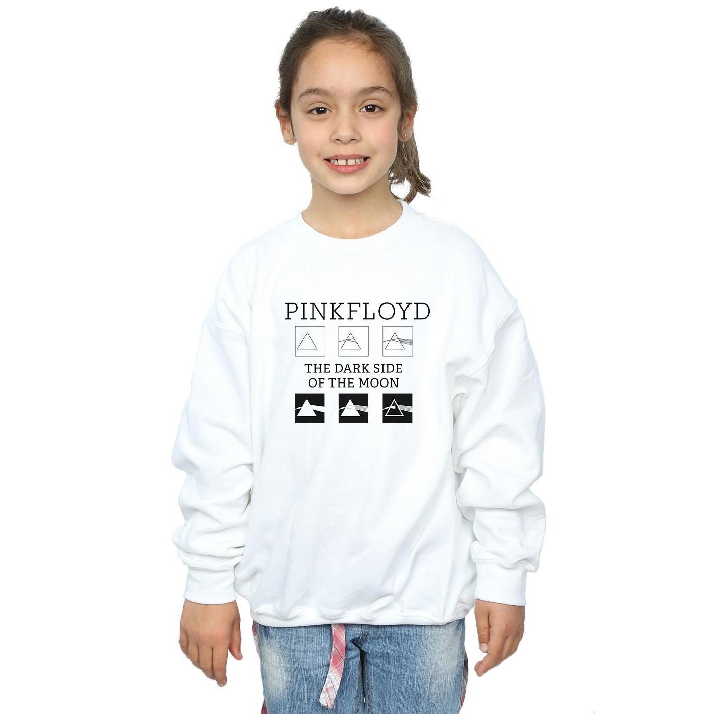 Pink Floyd  Sweatshirt 