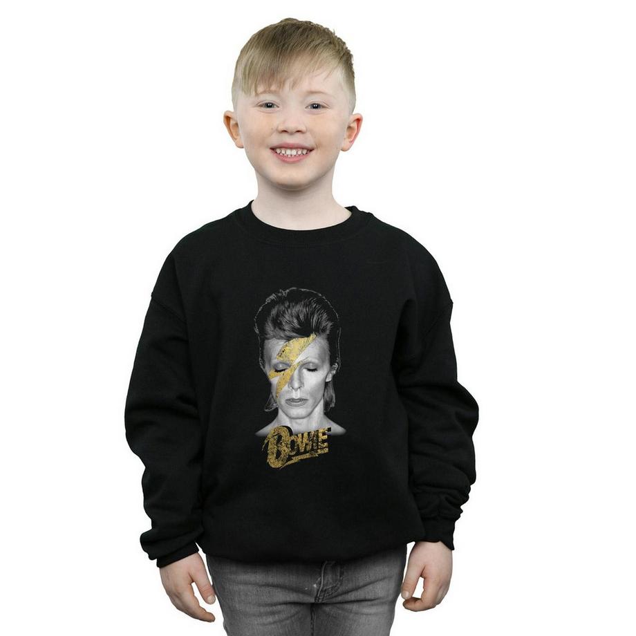 David Bowie  Aladdin Sane Sweatshirt 