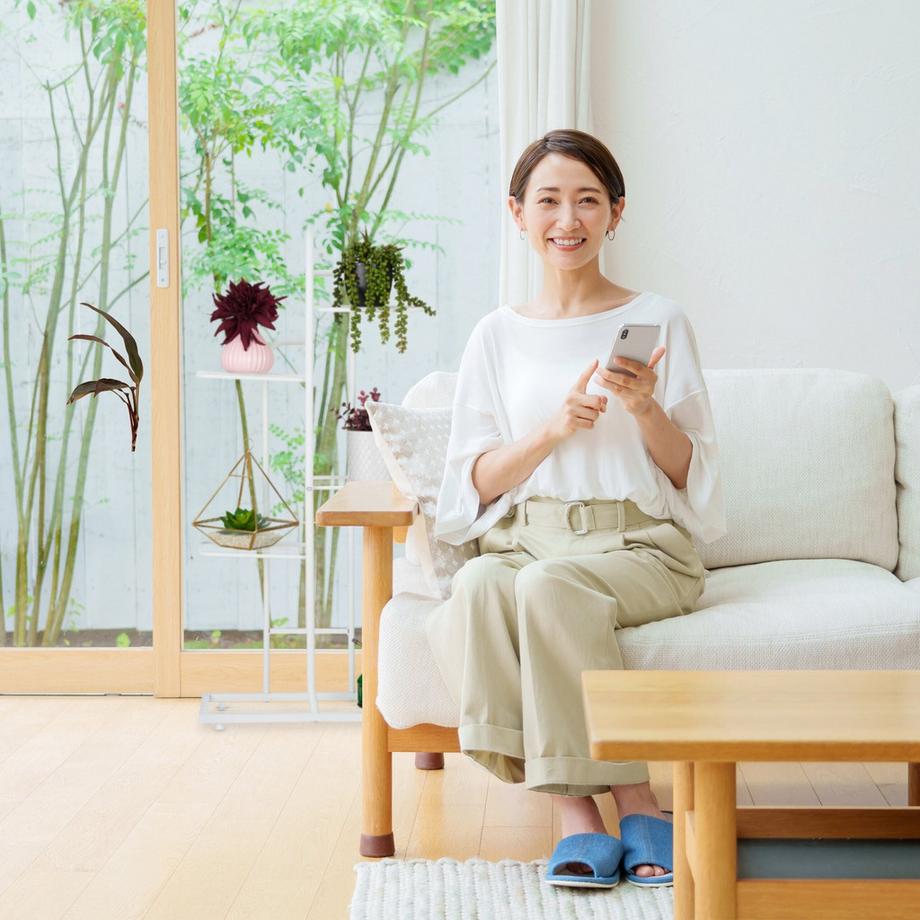 B2X Support pour plantes 5 niveaux  