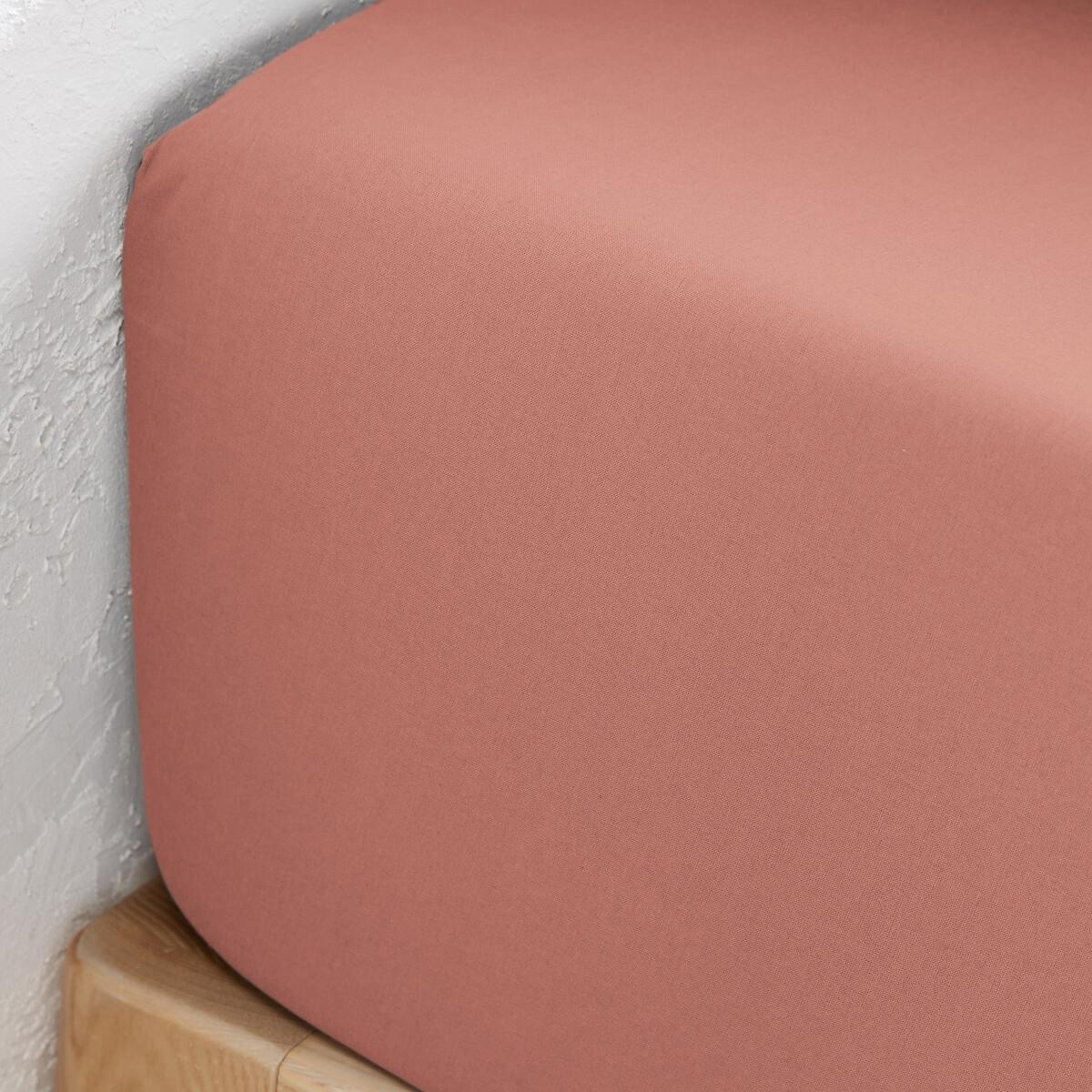 La Redoute Intérieurs Scenario Bio-Baumwolle Unifarbenes Fixleintuch  