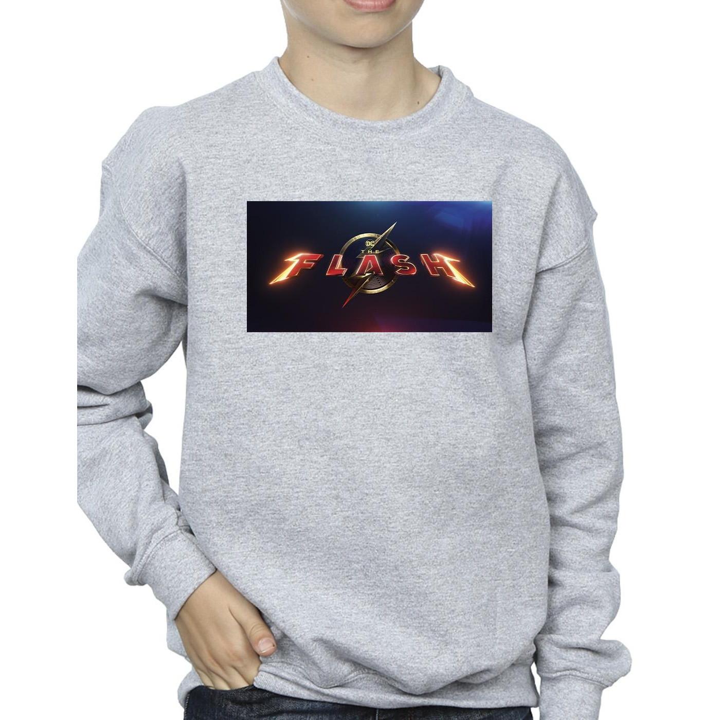 DC COMICS  Sweatshirt 