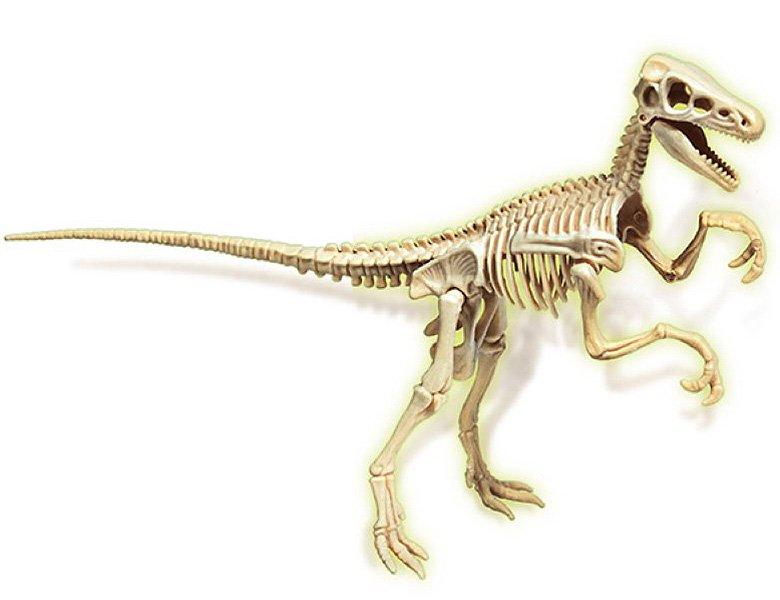 Clementoni  Ausgrabungsset Velociraptor Fluorescent 
