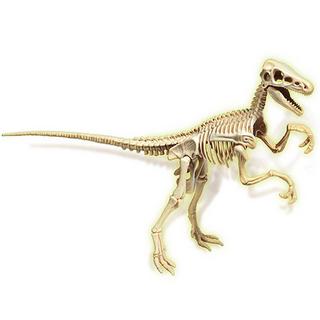 Clementoni  Ausgrabungsset Velociraptor Fluorescent 