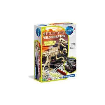 Ausgrabungsset Velociraptor Fluorescent